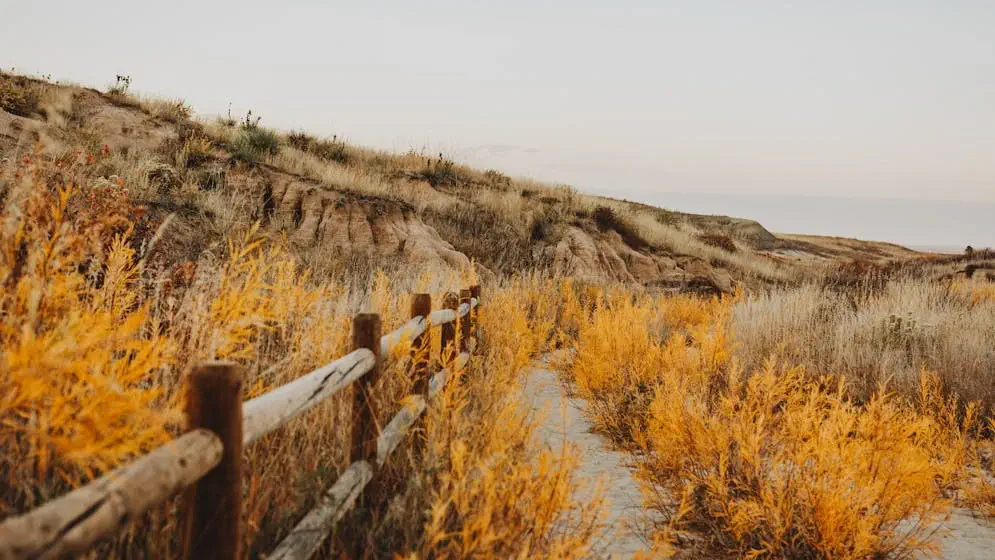 sage brush cover trail in Colorado Springs